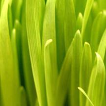 ip攻击器网页版