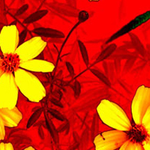 开创智能新纪元的网页攻击器教程